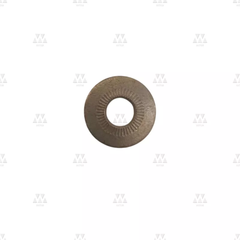W001205 | CONTACT WASHER L 8 – FST – ZINC PLATED W001205 | CONTACT WASHER L 8 – FST – ZINC PLATED