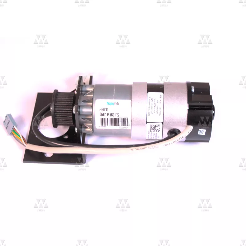 1022411A04 | CONJUNTO MOTOR-AUGUSTAUSTA EVO T12R-02 HORIZONTAL