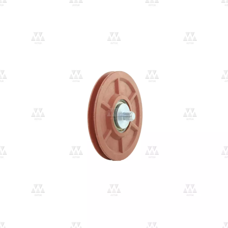 601323G01 | SYNCHRONIZATION ROLLER COMPLETE STANDARD DIAMETER 70MM